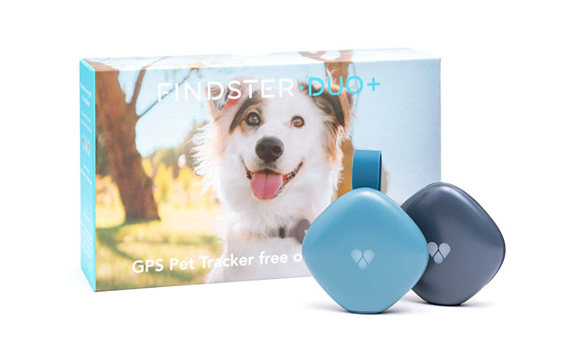 Findster GPS Tracking Collar for Dogs & Pet Activity Monitor