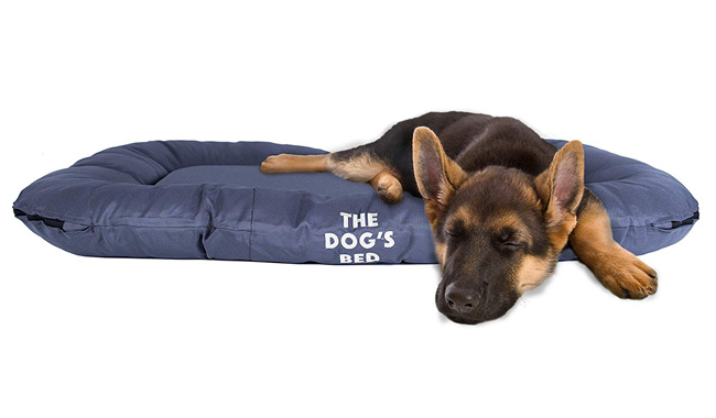 The Dog’s Bed, Premium
