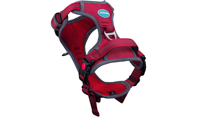ThinkPet Breathable Dog Harness
