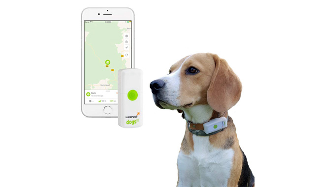 Weenect Dogs GPS Tracker for Dogs