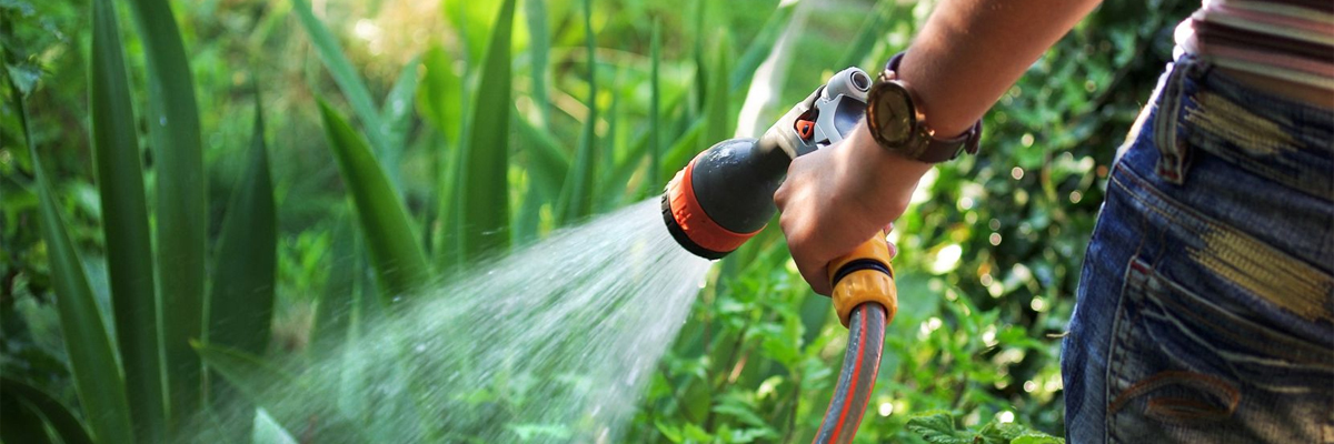 What Is The Best Garden Hose On The Market Image 1