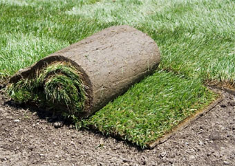 10 Artificial Grass Products in 2024