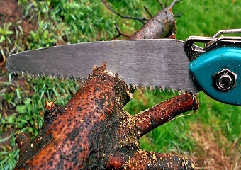 10 Best Pruning Saws in 2024