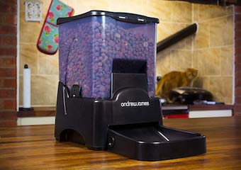 The 9 Best Automatic Cat Feeders