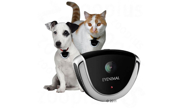 Eyenimal Dog Cat Camera Surveillance