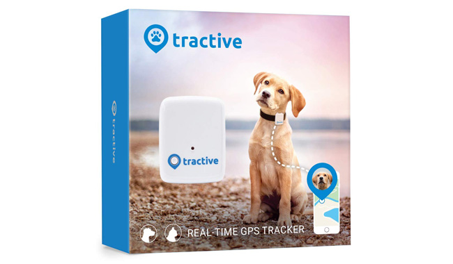 Tractive Dog GPS Tracker –A Device With Unlimited Range