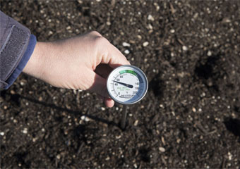 10 Best Compost Thermometers in 2024