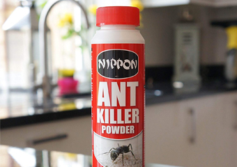 7 Best Ant-Killers in 2024