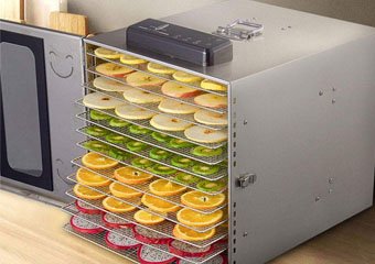 8 Best Food Dehydrators in 2026