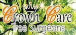 crown care tree surgeon