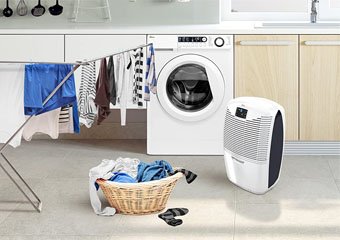 10 Best Dehumidifiers in 2026