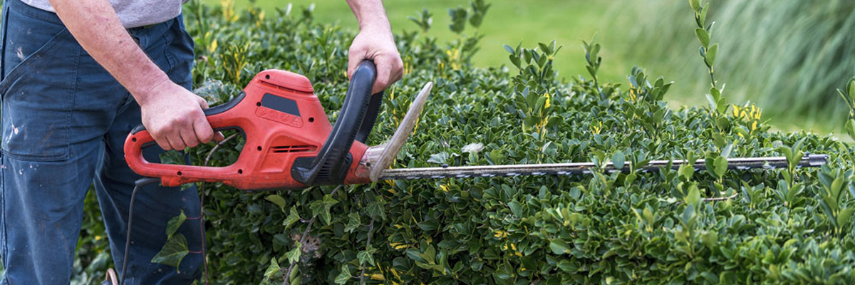 How to Cut Hedges