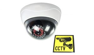 Ex-Pro Dummy CCTV Camera