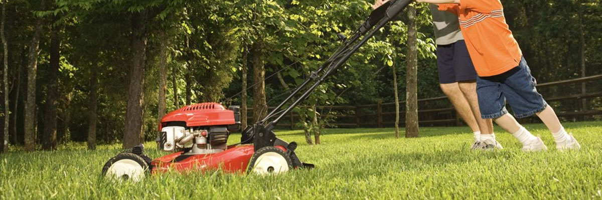 When To Cut Grass Image